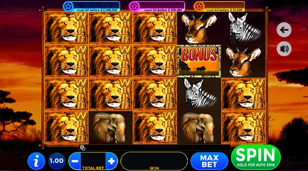101 Lions