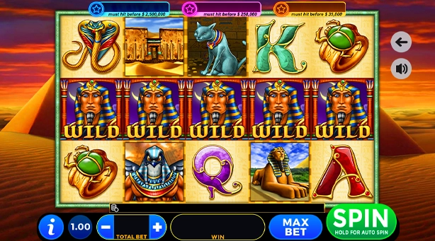 King Of Cairo