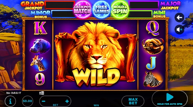Lion – Savanna Wild